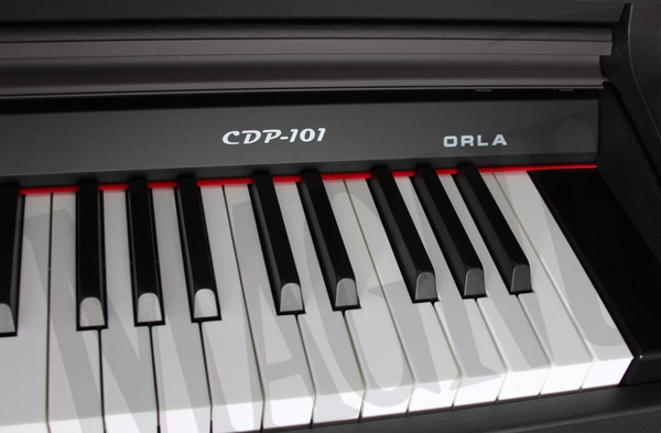 Orla CDP-101 RW - pianino cyfrowe pianino cyfrowe