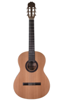 Prodipe Guitars Student LH 4/4 - gitara klasyczna leworęczna