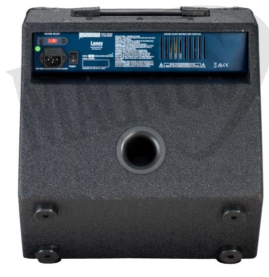 Laney Richter RB2 Combo