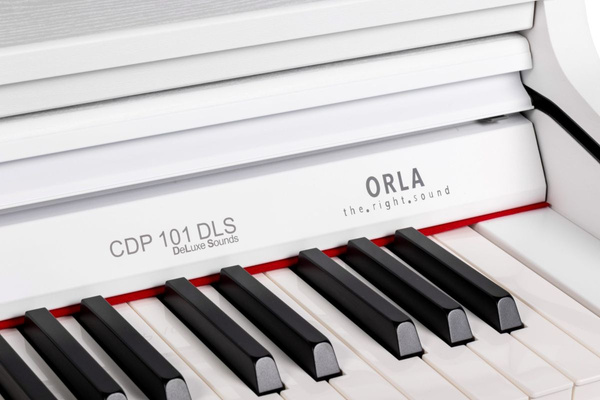 Pianino cyfrowe Orla CDP-101 DLS SW pianino cyfrowe