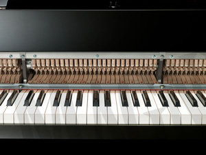 Yamaha N3X AvantGrand