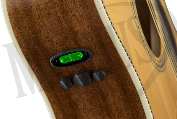 Fender PM-1E NA z futerałem gitara elektroakustyczna