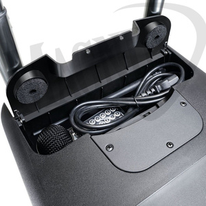 LD Systems ROADBUDDY 10 B6 Zasilana z akumulatorów kolumna Bluetooth z mikserem i mikrofonem bezprzewodowym