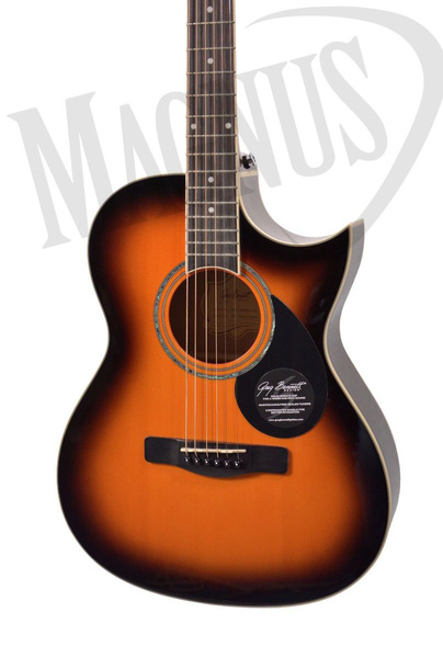 Samick GA-100SCE VS gitara elektroakustyczna