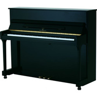 Pramberger LV-115 EB HP + dostęp do video lekcji