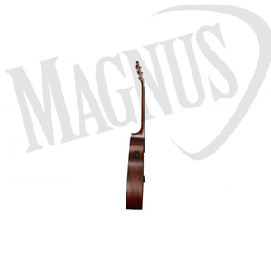 Baton Rouge X11LS/FE gitara elektroakustyczna