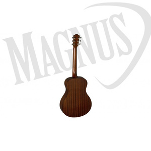 Baton Rouge X11LS/FE gitara elektroakustyczna