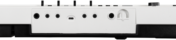 Korg Liano LIVE! pianino cyfrowe