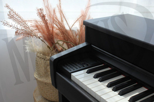 Dynatone DPS-105 BLK pianino cyfrowe