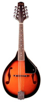 Stagg  M20