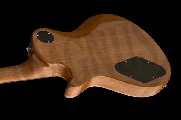 PRS 2017 SE Zach Myers Trampas Green - sygnowana gitara elektryczna