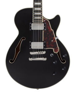 D'Angelico Premier SS Black Flake gitara elektryczna
