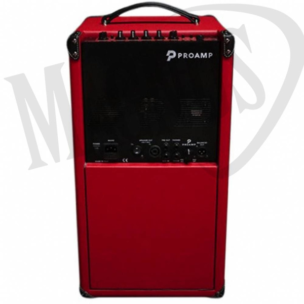 Proamp ZC 208 wzmacniacz basowy typu combo