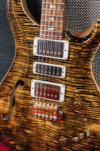 PRS 40th Anniversary Special Semi-Hollow Yellow Tiger - gitara elektryczna USA