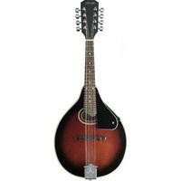 Stagg M30