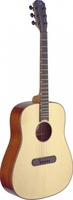 James Neligan LIS-D - gitara akustyczna gitara akustyczna
