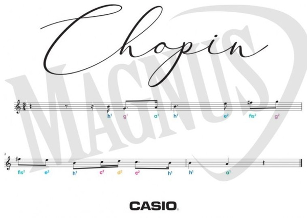 Casio naklejki na klawisze duże