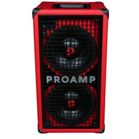 Proamp ZC 208 wzmacniacz basowy typu combo