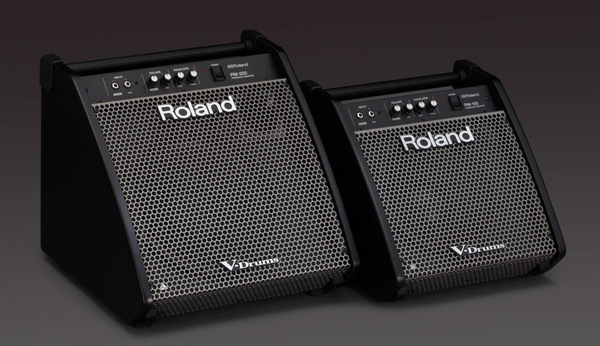 Roland PM-200