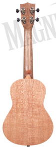 Kala KA KA 20C Burled Meranti  ukulele koncertowe