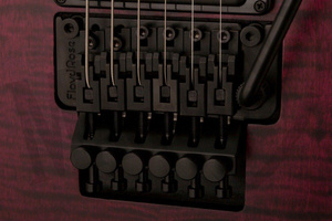 PRS DW CE 24 “Floyd”  gitara elektryczna
