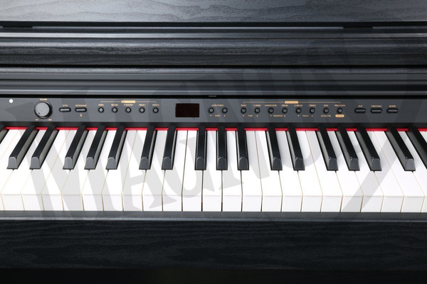 Dynatone SLP-150 BK  pianino cyfrowe
