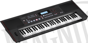 Roland E-X50 keyboard