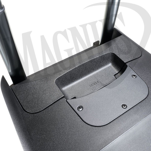 LD Systems ROADBUDDY 10 B6 Zasilana z akumulatorów kolumna Bluetooth z mikserem i mikrofonem bezprzewodowym