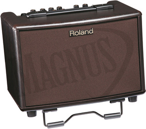 Roland AC 33 RW combo do gitary akustycznej