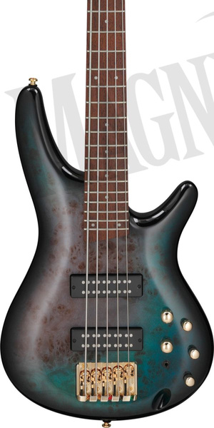 Ibanez SR 5-Str Tropical Seafloor Burst gitara basowa