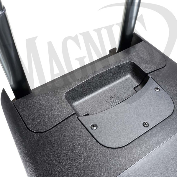 LD Systems ROADBUDDY 10 Zasilana z akumulatorów kolumna Bluetooth z mikserem i mikrofonem bezprzewodowym