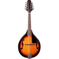 Stagg M20S
