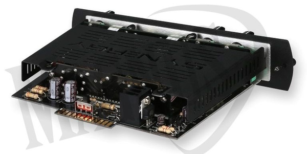 Synergy Amps Morgan AC wzmacniacz