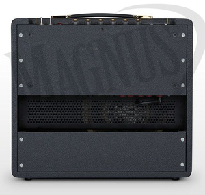 Marshall SV20C Combo