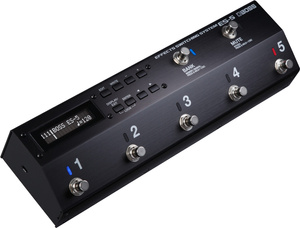 Boss ES-5 footswitch