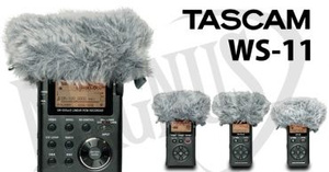 Tascam WS-11
