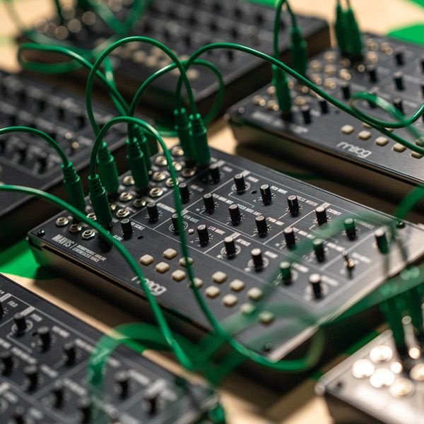 Moog Mavis syntezator analogowy