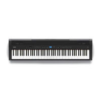 Dynatone DPP-510 pianino cyfrowe- ekspozycja