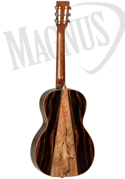 Tanglewood TWJ-PS gitara akustyczna