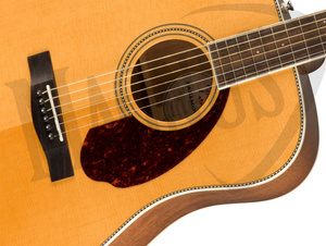 Fender PM-1E NA z futerałem gitara elektroakustyczna