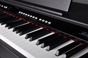 Ringway RP-120 RW pianino cyfrowe