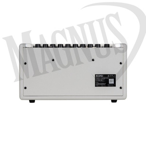 Mooer ME SD 30I Combo
