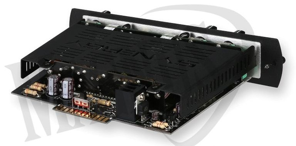 Synergy Amps Friedman DS wzmacniacz