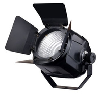 Fractal Lights PAR LED COB 100 W WW reflektor par