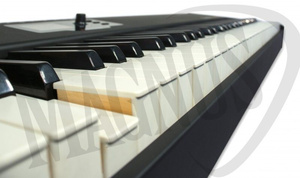 Studiologic SL88 Grand klawiatura sterująca