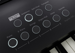 Roland FP-E50  pianino cyfrowe ze statywem Guitto