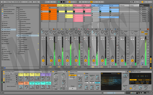 Ableton Live 11 Suite EDU (DIGI) wersja elektorniczna oprogramowanie studyjne
