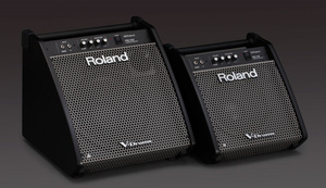 Roland PM-100