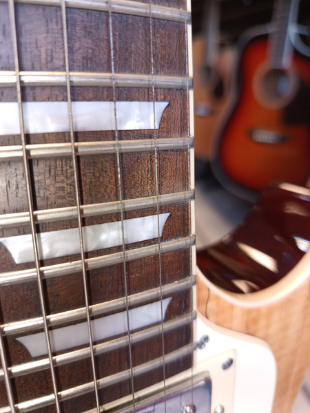 Samick AV 6 Limited Edition  gitara elektryczna - ekspozycja