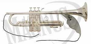 BG A31 T - wycior